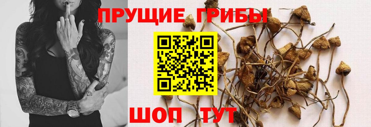 Галлюциногенные грибы MAGIC MUSHROOMS Коркино