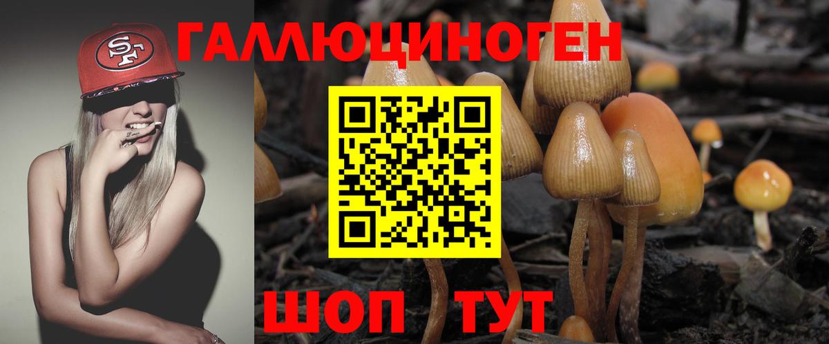 Коркино  Псилоцибиновые грибы ЛСД  Вход с VPN 